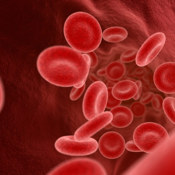 Jak przygotować się do badań krwi?